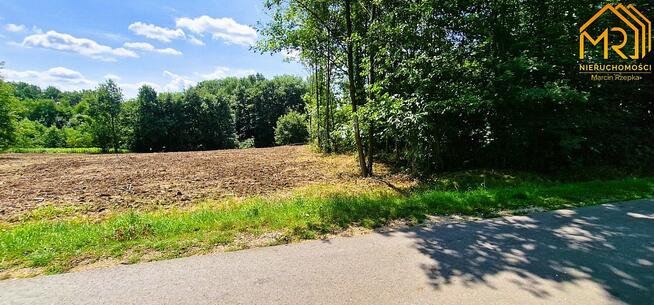 Działka rolno-budowlana Złota gm. Czchów