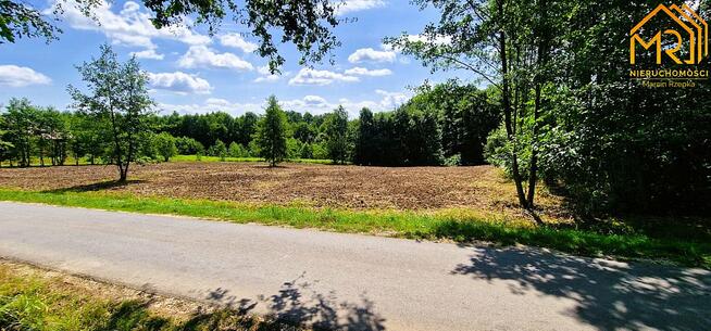 Działka rolno-budowlana Złota gm. Czchów