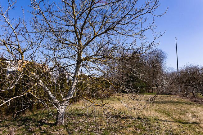 Działka budowlana z mediami na ul. Łagiewnickiej