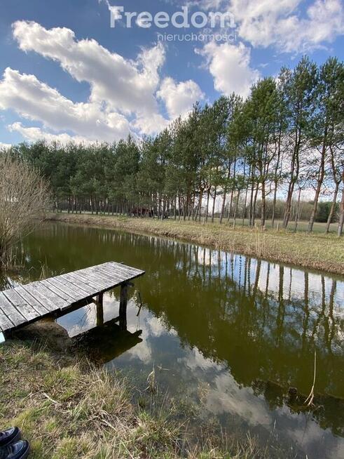 2 domy, 7 pokoi + 160 m2 b.gospodarcze, staw i las