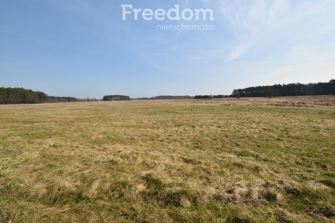 2 domy, 7 pokoi + 160 m2 b.gospodarcze, staw i las