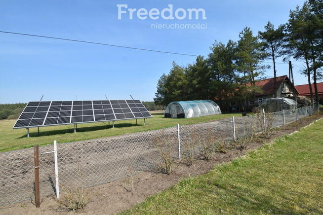 2 domy, 7 pokoi + 160 m2 b.gospodarcze, staw i las