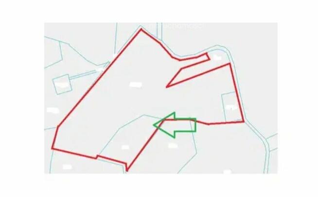2 domy, 7 pokoi + 160 m2 b.gospodarcze, staw i las