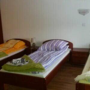 Lokal hostel sala bankietowa pow 800m garaż działka 800m Wo