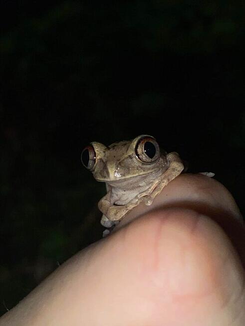 Warsztaty dla dzieci i młodzieży Egzotyczny świat