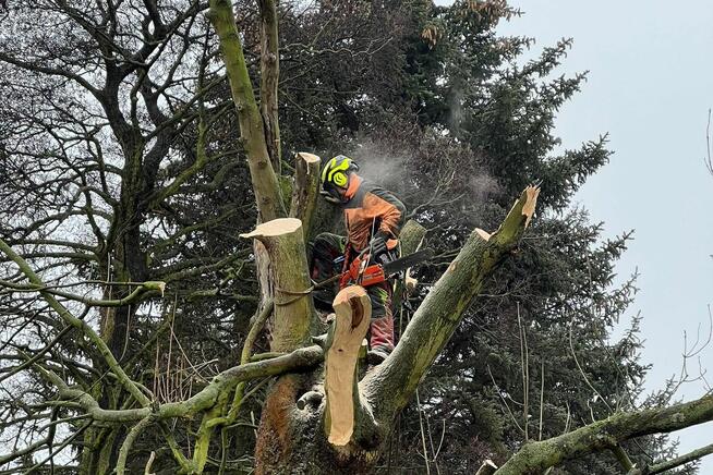 Zakładanie i pielęgnacja ogrodów oraz terenów zielonych
