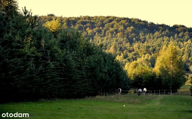 Działki w Sokolich Górach ! Dni otwarte 12.04!
