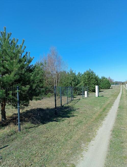 Działka rekreacyjna 1200 m2 blisko Łodzi, pod dużym lasem