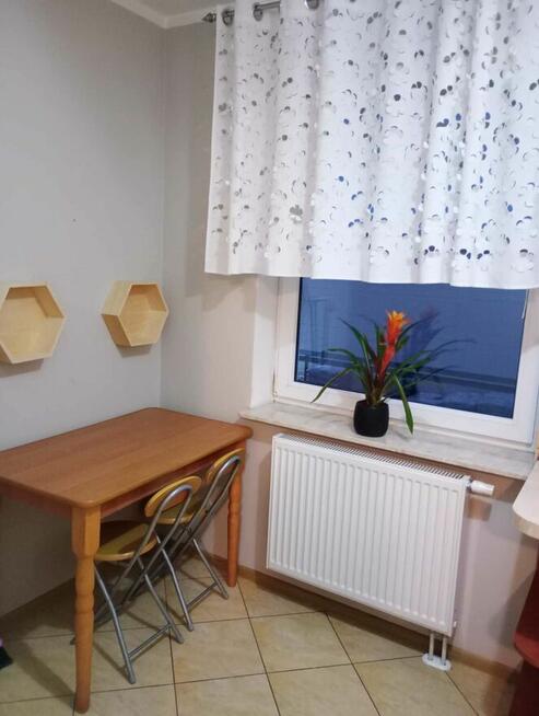 Wynajmę mieszkanie w Działddowie