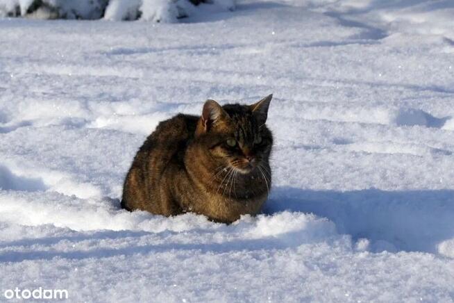 Działki w Sokolich Górach ! Dni otwarte 12.04!