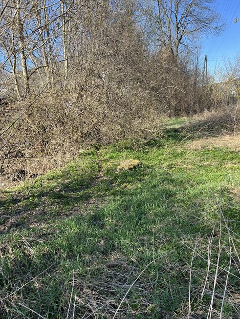 Sprzedam działkę z zabudowaniami