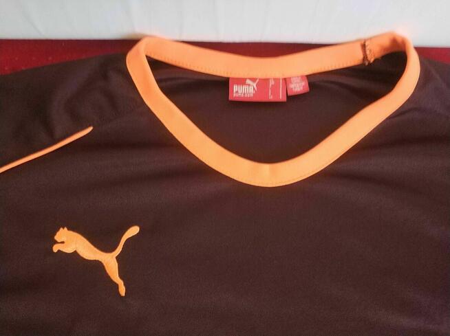 Bluza PUMA bluzka koszulka sportowa Piłkarska AS Roma