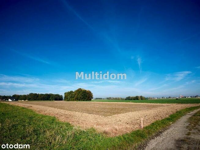 Działka, 845 m², Pisarzowice