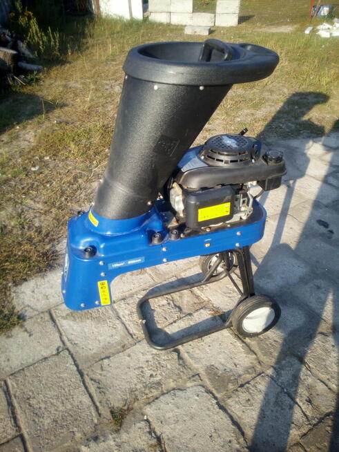 zrębka drzew liściastych