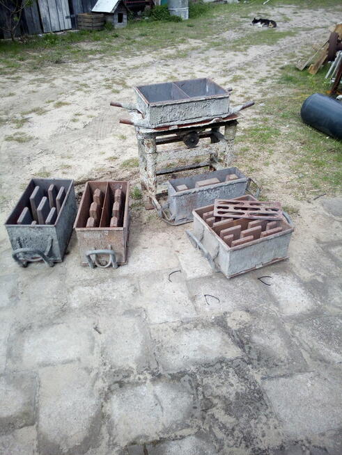 zrębka drzew liściastych