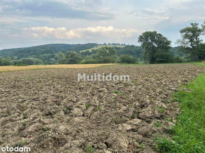 Działka nad rzeką (Sanem) z linią brzegową