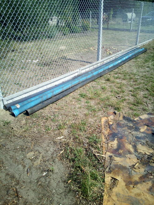 zrębka drzew liściastych