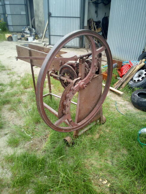 zrębka drzew liściastych