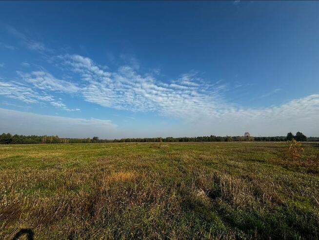 Nieruchomość zabudowana 7,68 ha w Błędnicy, gm. Małkinia G.
