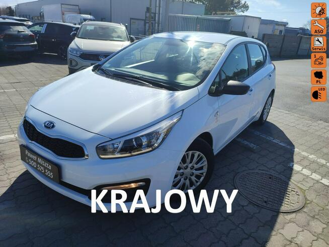 Kia Cee'd Salon Polska bezwypadkowy