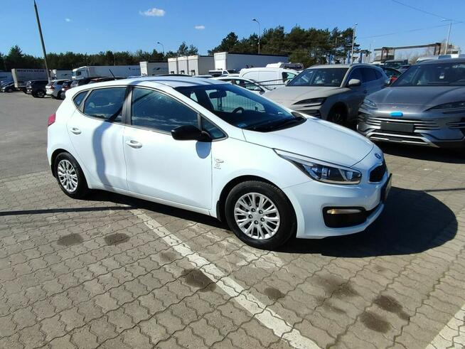 Kia Cee'd Salon Polska bezwypadkowy