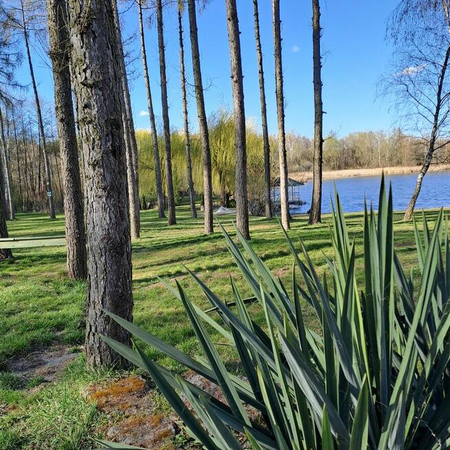 Nieruchomość pod hotelarstwo lub cel prywatny.