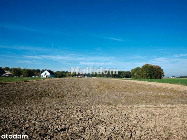 Działka, 845 m², Pisarzowice