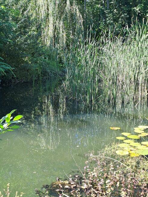 Nieruchomość pod hotelarstwo lub cel prywatny.