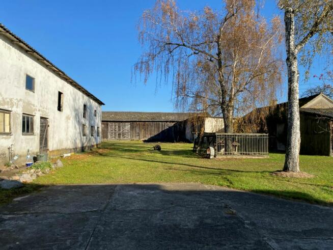 Nieruchomość zabudowana 7,68 ha w Błędnicy, gm. Małkinia G.