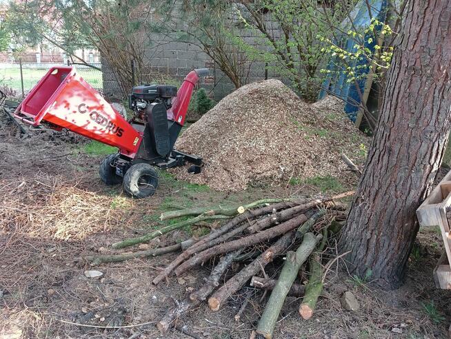 Rozdrabnianie Wycinka Gałęzi Rębak Zrębkowanie Mielenie