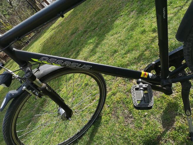 Rower Pegasus Avanti