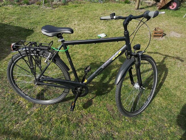 Rower Pegasus Avanti