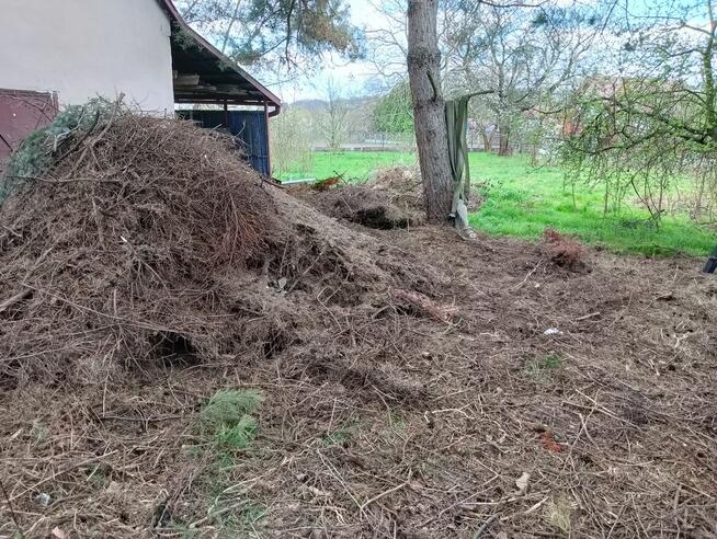 Rozdrabnianie Wycinka Gałęzi Rębak Zrębkowanie Mielenie