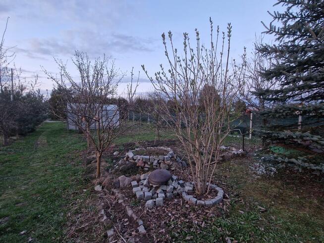 Działka ROD Pionier