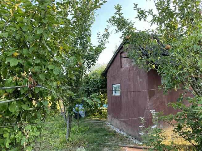 Sprzedam działkę rekreacyjną ROD Jarek