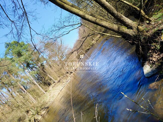 Działka Elgiszewo gm. Ciechocin