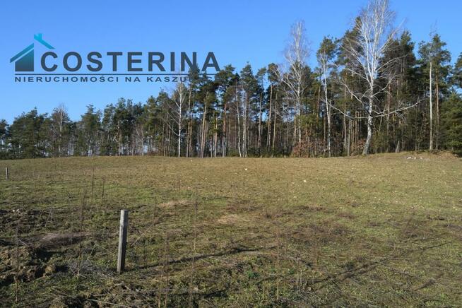 Działka budowlana Kalisz gm. Dziemiany