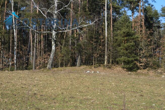 Działka budowlana Kalisz gm. Dziemiany