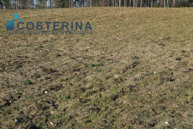 Działka budowlana Kalisz gm. Dziemiany