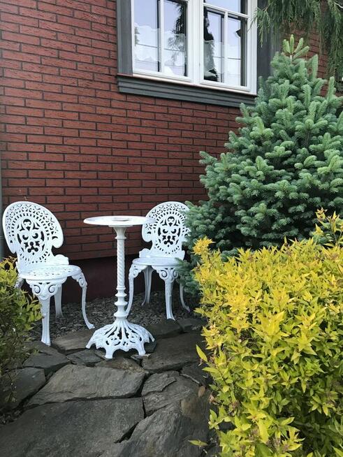 stolik kawowy żeliwny kwietnik dekoracja