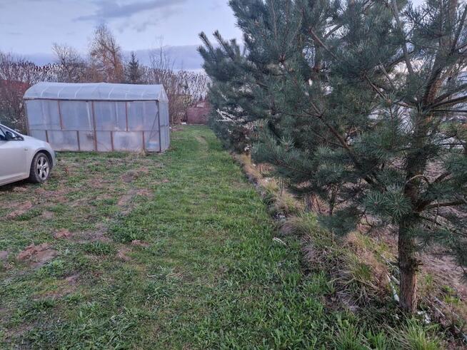 Działka ROD Pionier