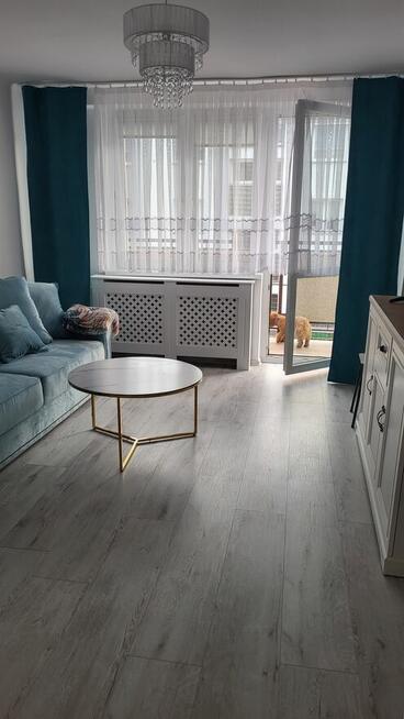 Mieszkanie do wynajęcia