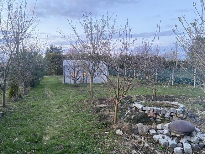 Działka ROD Pionier