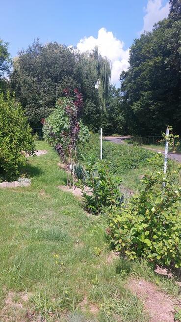 Dzialka rekreacyjno-rolna 5 arowa