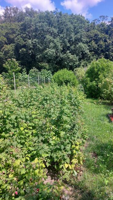 Dzialka rekreacyjno-rolna 5 arowa