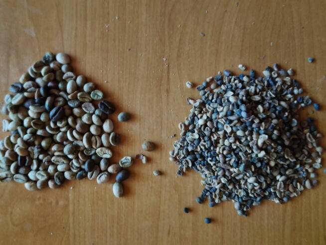 Sprzedam kawę zieloną