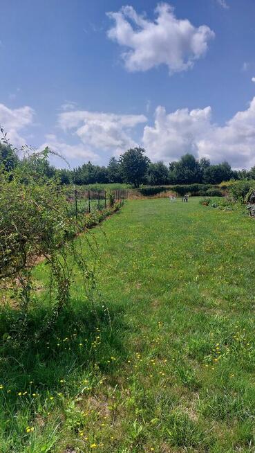 Dzialka rekreacyjno-rolna 5 arowa