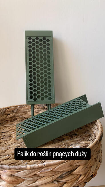 Paliki modułowe, z mchem lub bez podpora do kwiató
