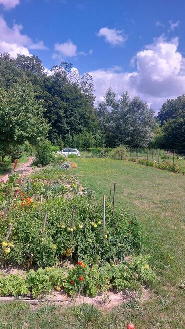 Dzialka rekreacyjno-rolna 5 arowa