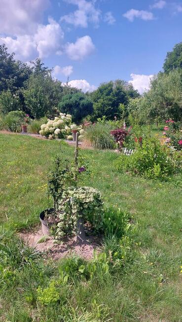 Dzialka rekreacyjno-rolna 5 arowa